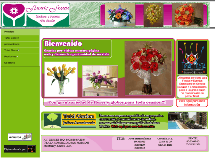 www.floreriafreesie.com