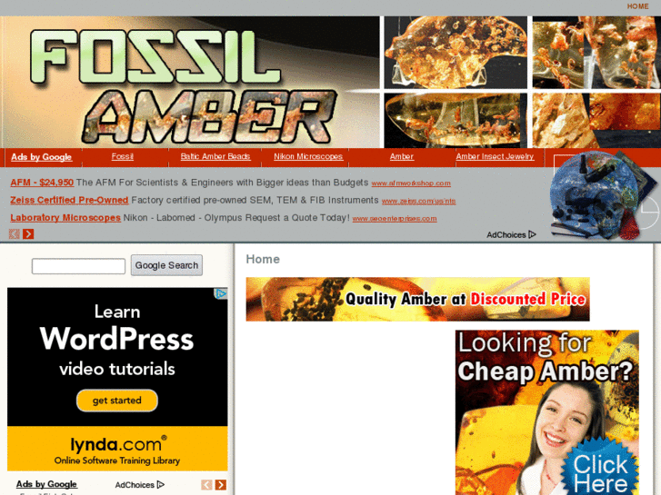 www.fossilamber.com