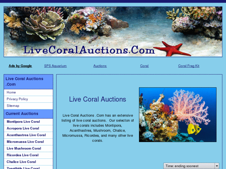 www.livecoralauctions.com