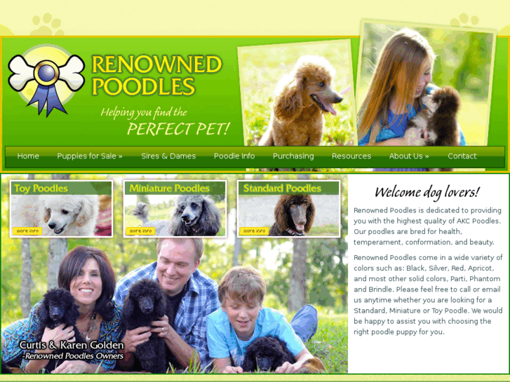 www.renownedpoodles.com