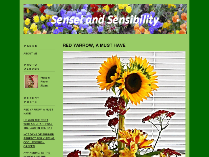 www.senseiandsensibility.com