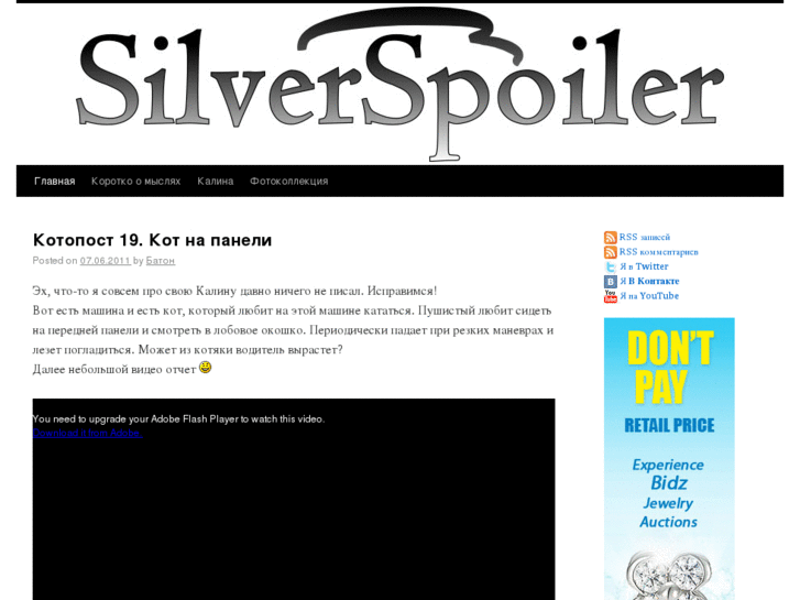 www.silverspoiler.com