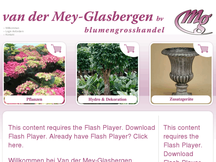 www.vandermeyglasbergen.com