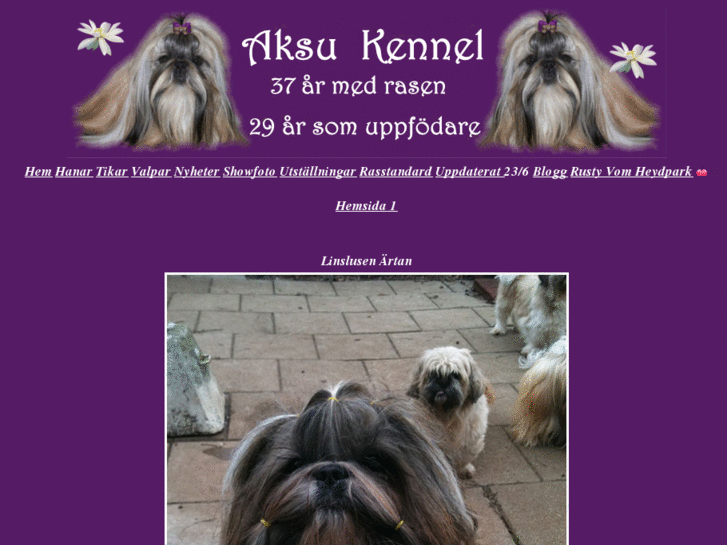 www.aksukennel.se