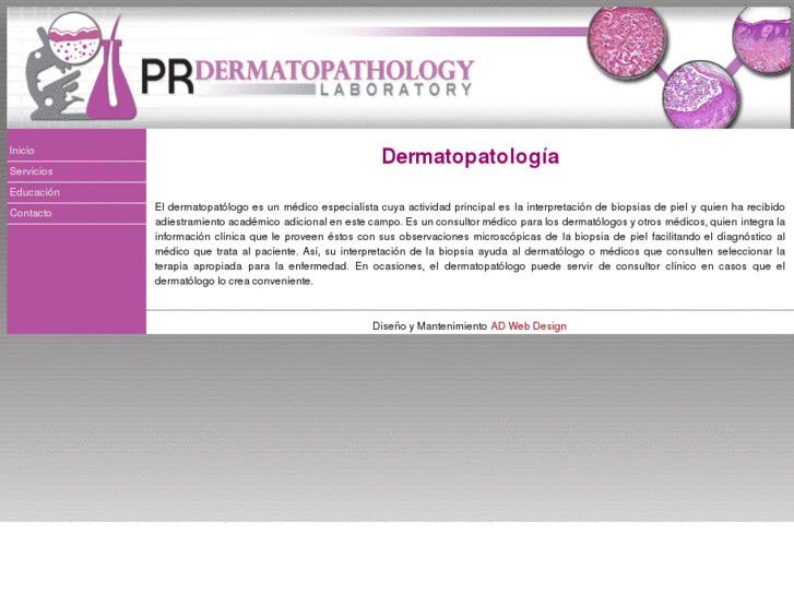 www.dermatopatologiapr.com