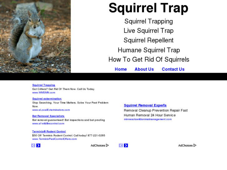 www.squirreltrap.net