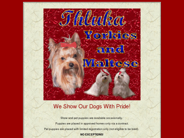 www.thlukasyorkiesandmaltese.com