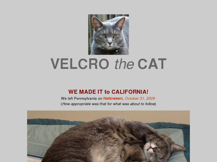 www.velcrothecat.com