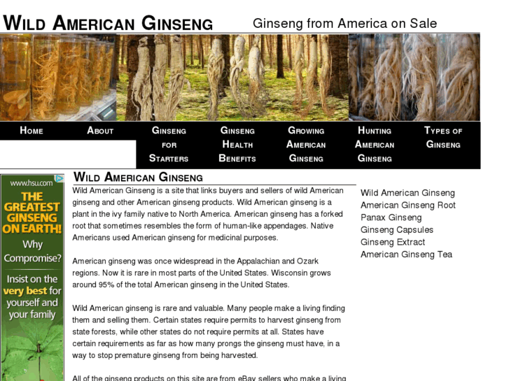 www.wildamericanginseng.com