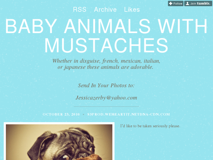 www.babyanimalswithmustaches.com