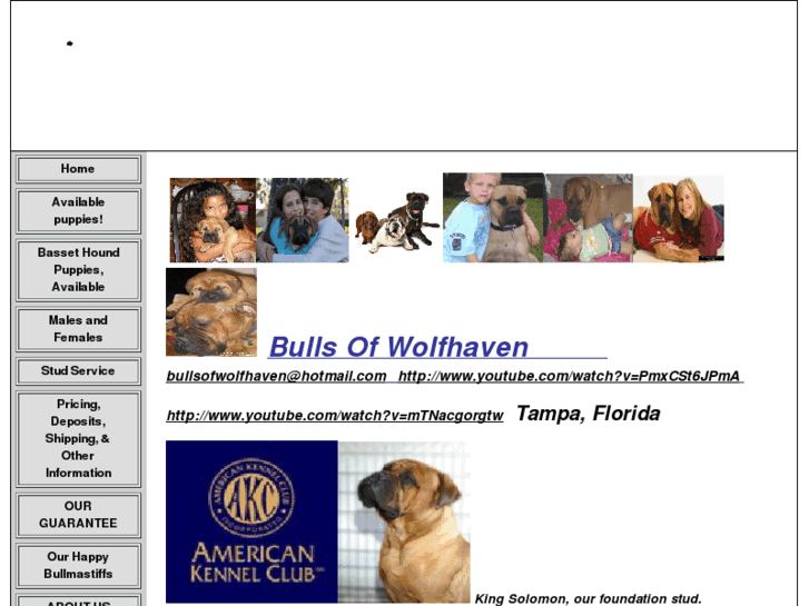 www.bullmastiffpuppies.org