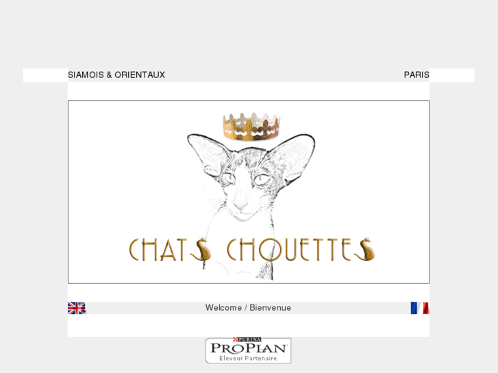 www.chat-chouette.com