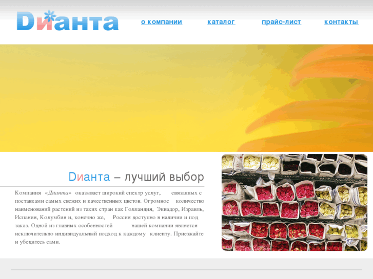 www.dianta.su