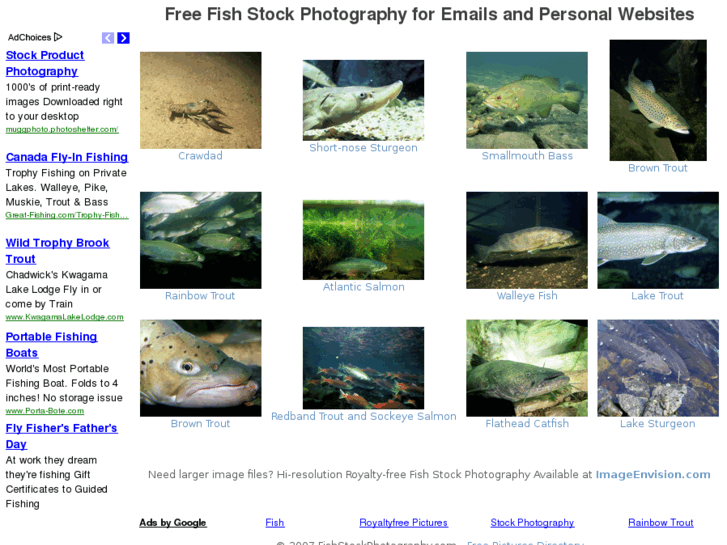 www.fishstockphotography.com