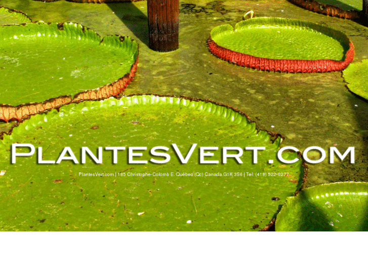 www.plantesvert.com
