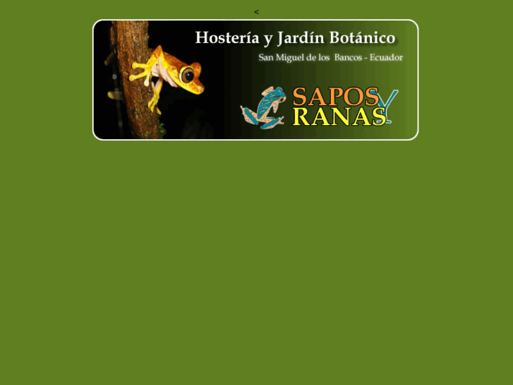 www.saposyranas.com