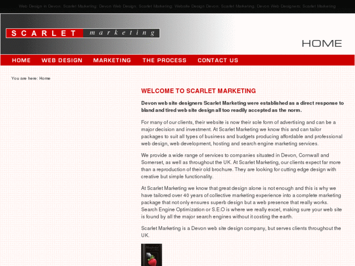 www.scarletmarketing.com