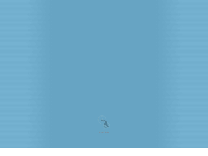www.divex-indonesia.com