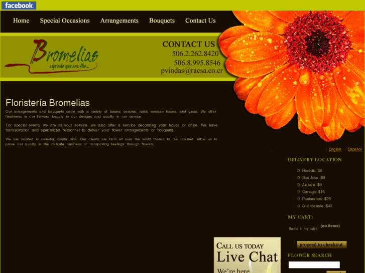 www.floristeriasbromeliascostarica.com