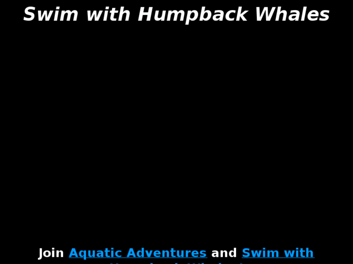 www.swimwithhumpbackwhales.com