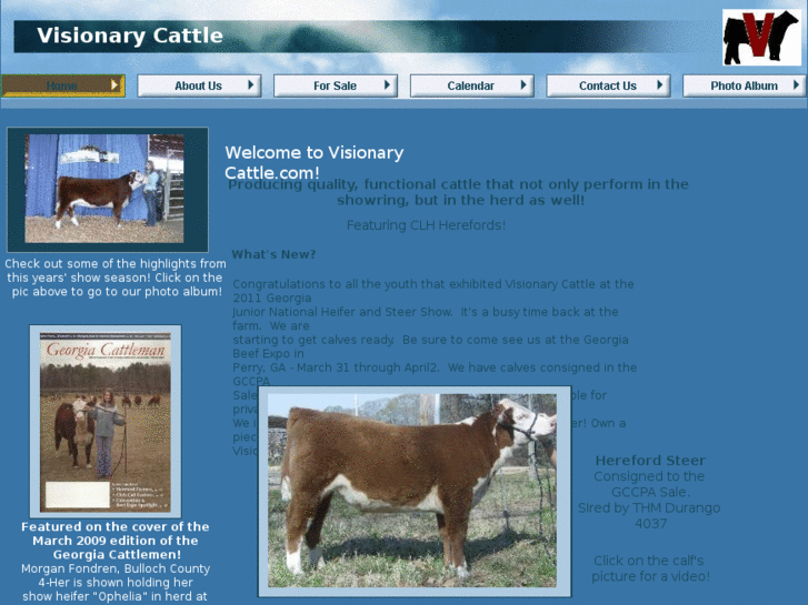 www.visionarycattle.com