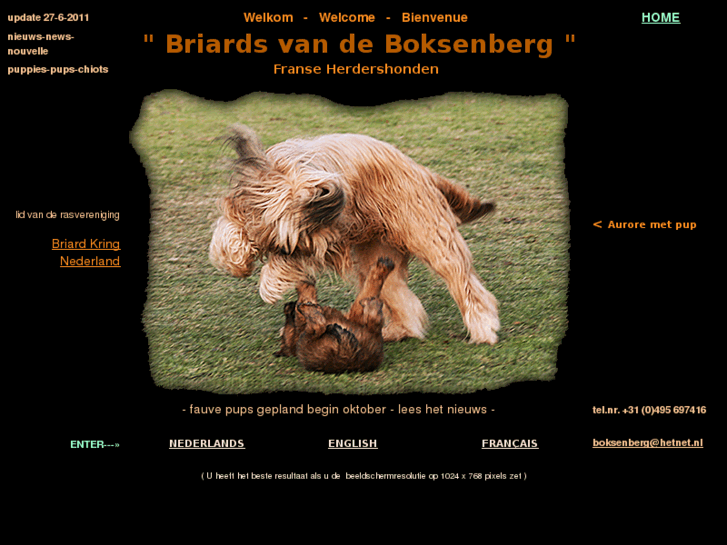 www.boksenbergbriard.net