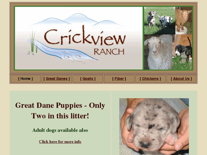 www.crickviewranch.com