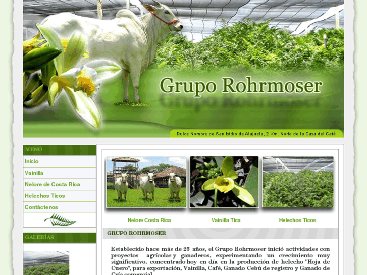 www.gruporohrmoser.com