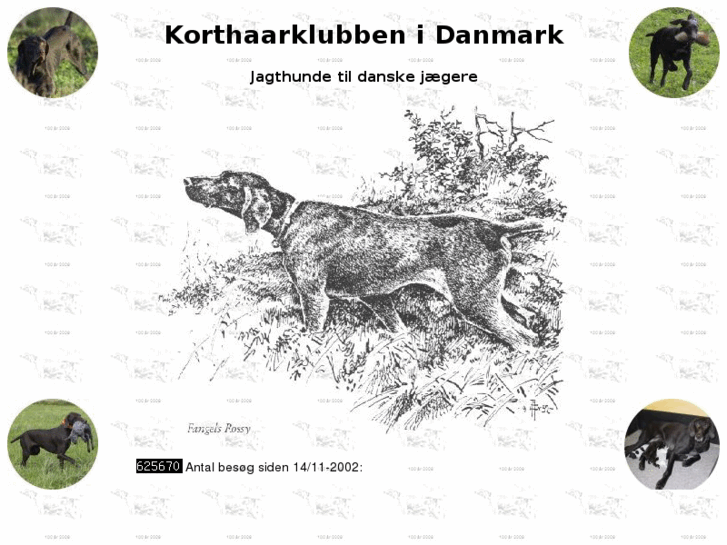 www.korthaarklubben.dk