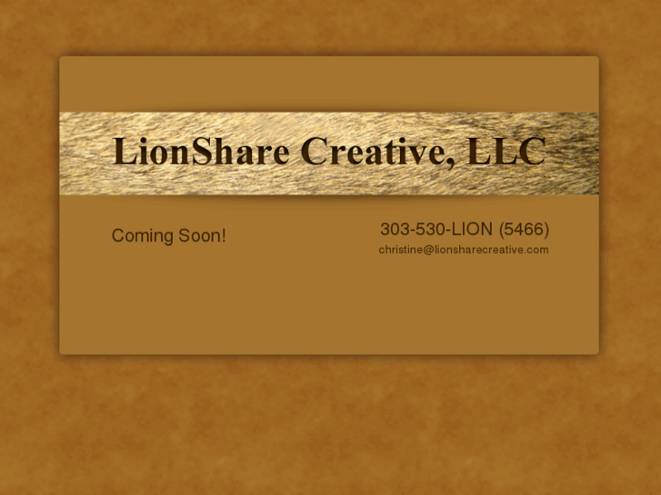 www.lionsharecreative.com