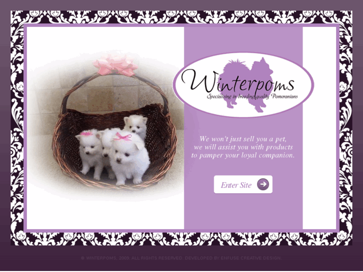 www.winterpoms.com