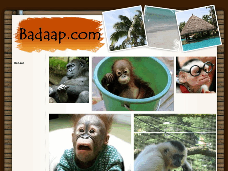 www.badaap.com