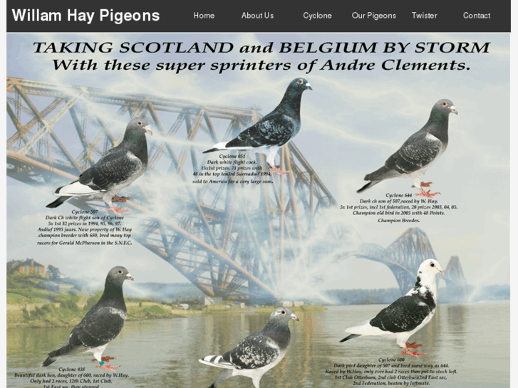 www.championsprintpigeons.com