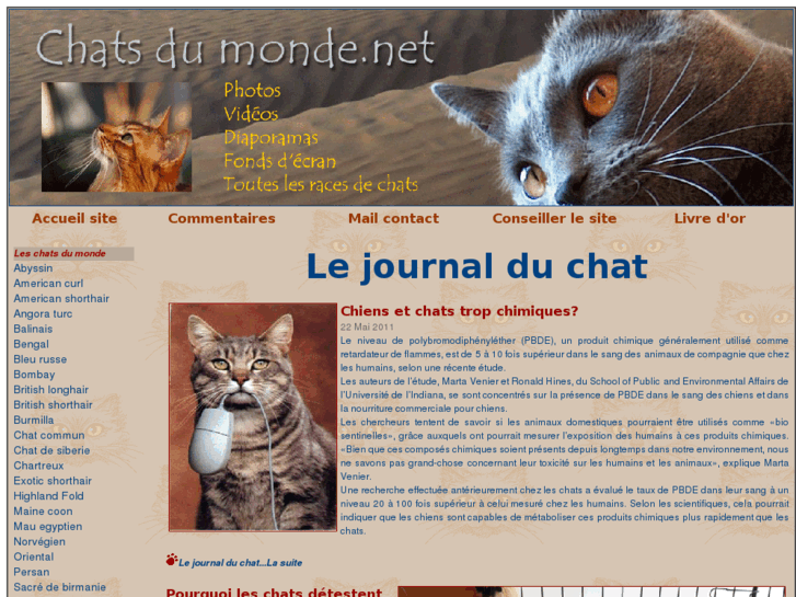 www.chatsdumonde.net