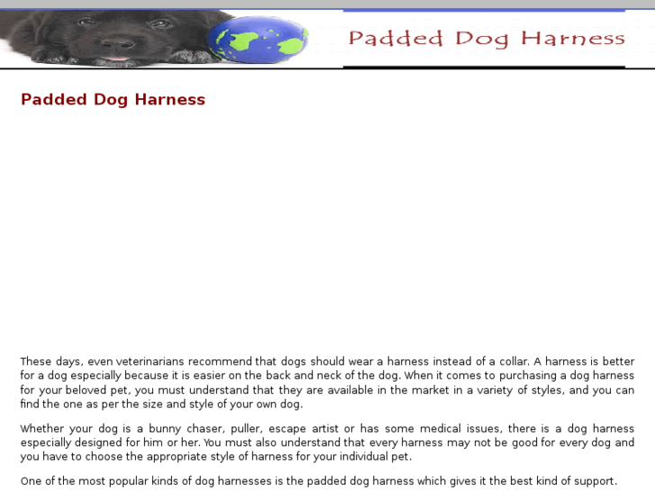 www.paddeddogharness.com