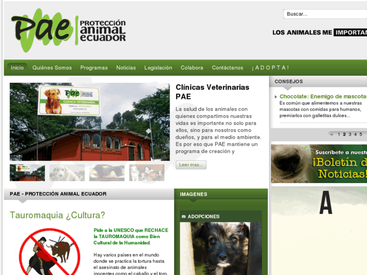 www.pae.ec