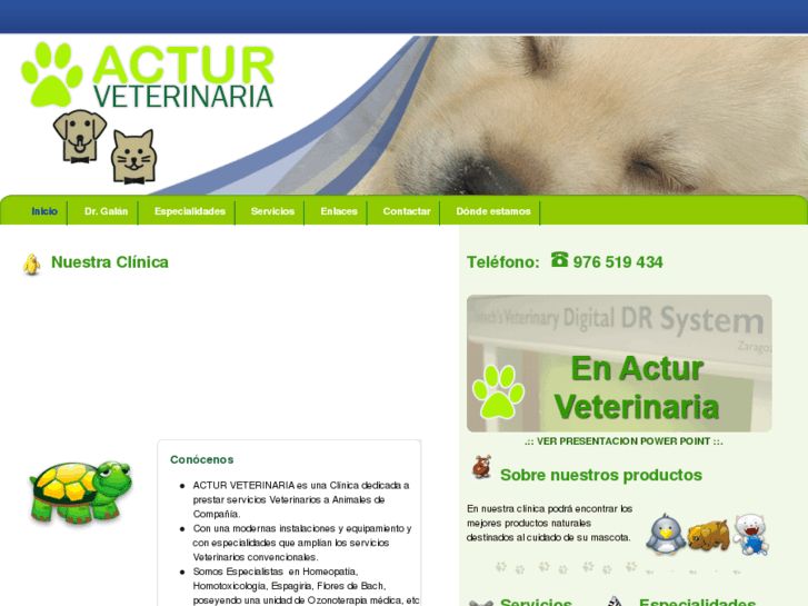 www.acturveterinaria.es