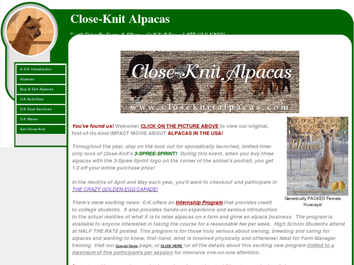 www.closeknitalpacas.com