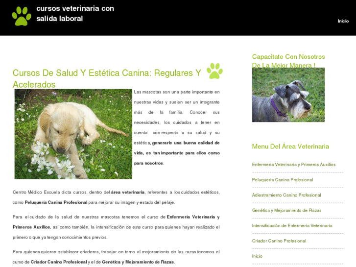 www.cursosveterinaria.net