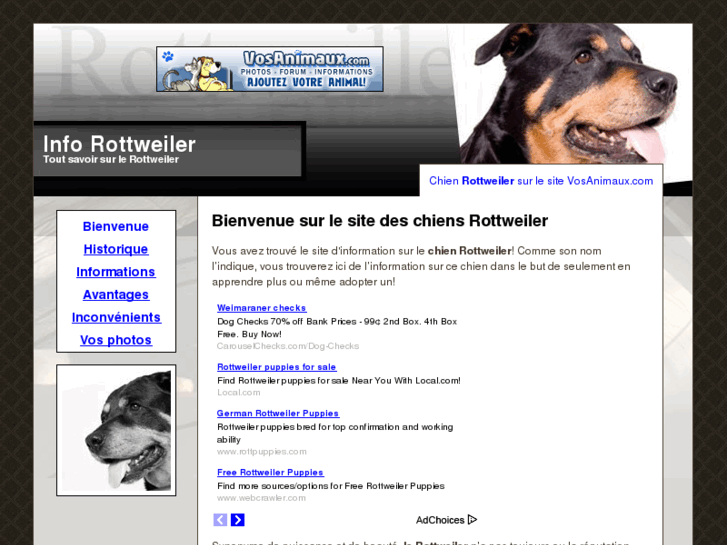 www.inforottweiler.com