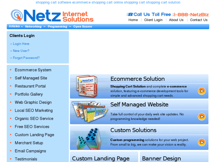 www.netzinternetsolutions.com