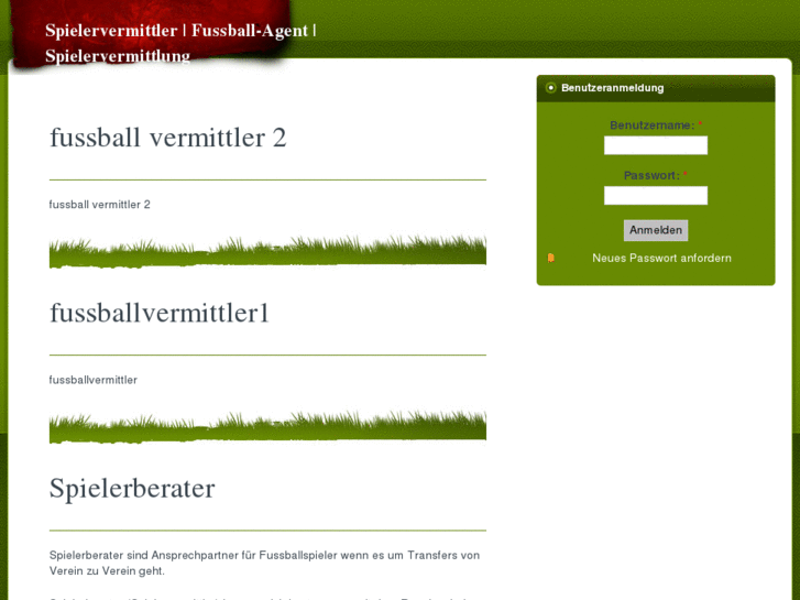 www.spielervermittler.com