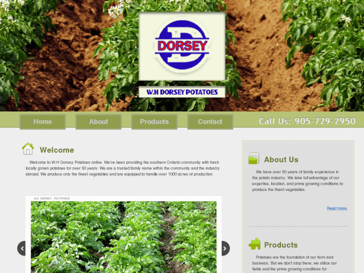 www.dorseyfarmswhdorseypotatoes.com