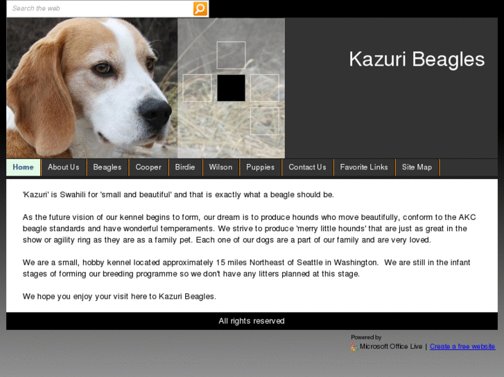 www.kazuribeagles.com