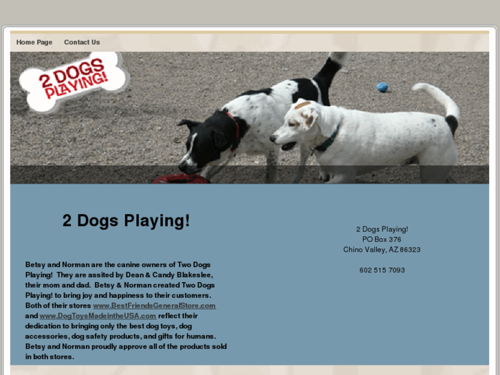 www.2dogsplaying.com