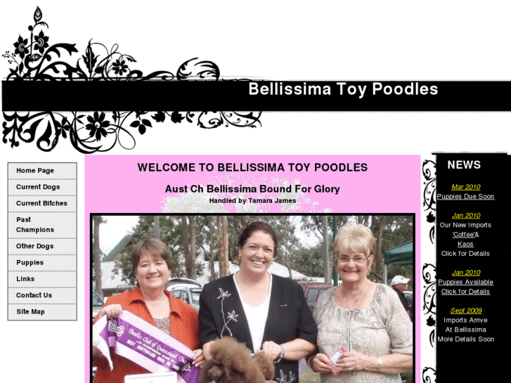 www.bellissimapoodles.com