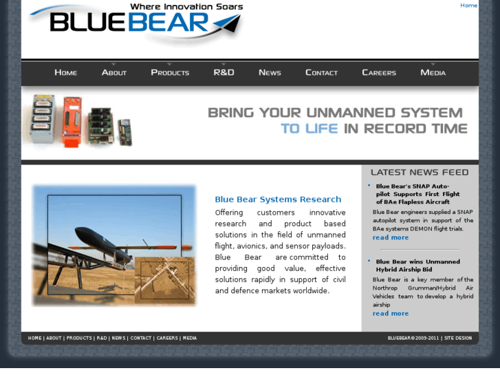 www.bluebearsystems.co.uk