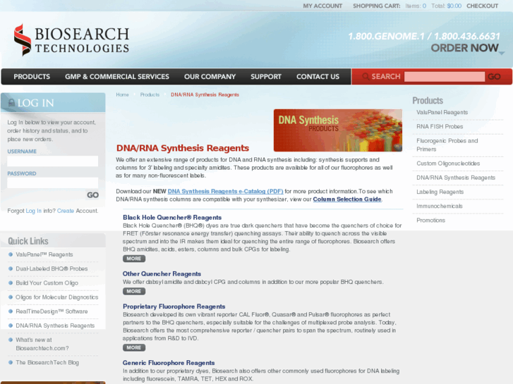 www.btisynthesis.com
