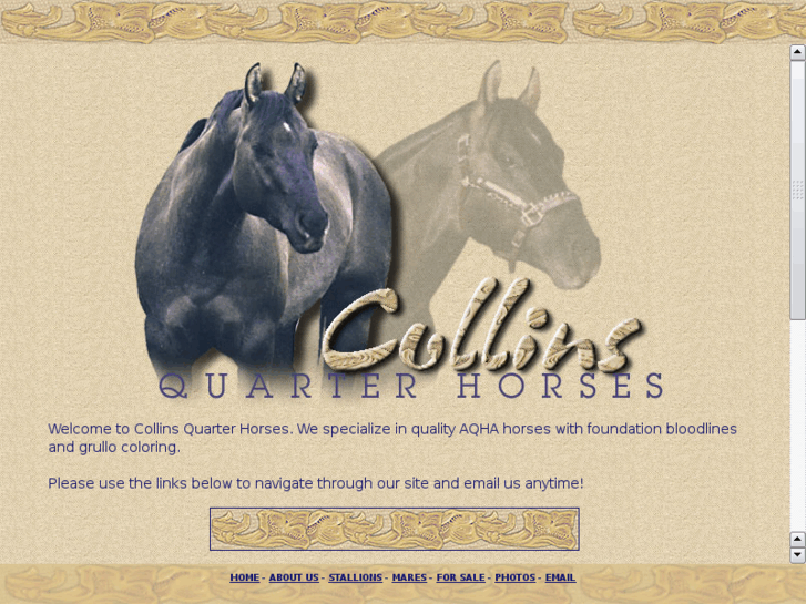 www.collins-quarterhorses.com