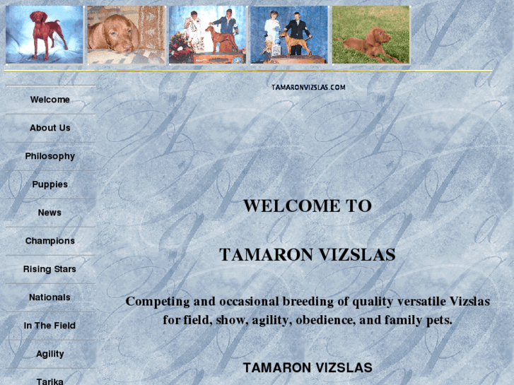 www.tamaronvizslas.com